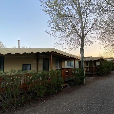 Zona Rosa 5 Chalet Mit Klimaanlage Und Wlan Viareggio Extérieur photo